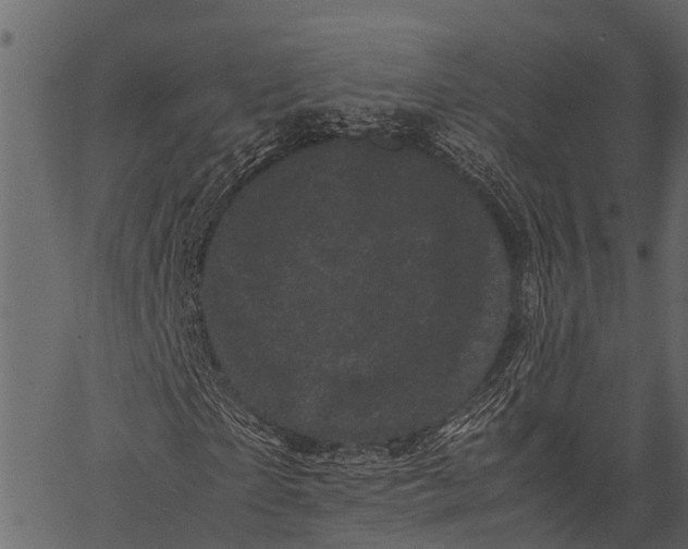 X0000062630865200601111057