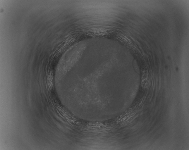 X0000062630866200601111057