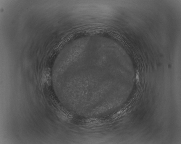 X0000062630867200601111057