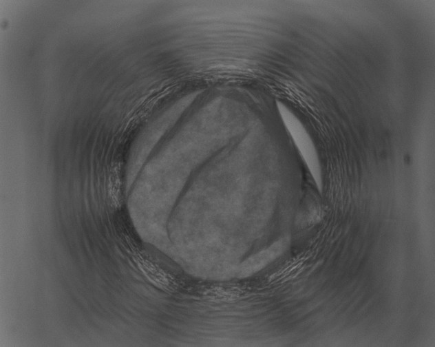 X0000062630868200601111057