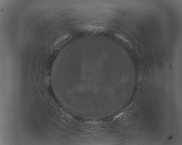 X0000062630869200601111057