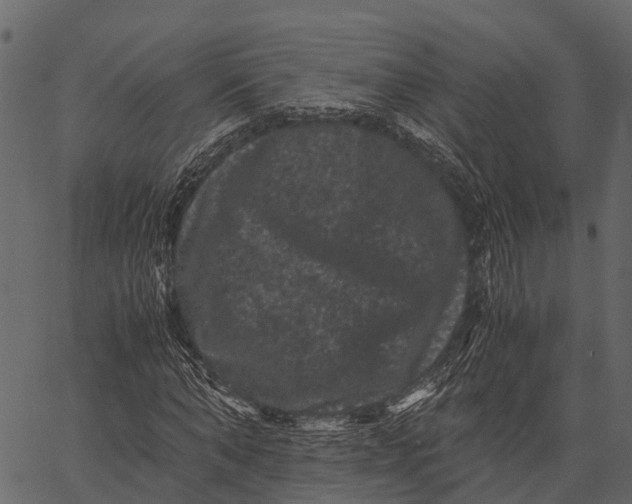 X0000062630870200601111057