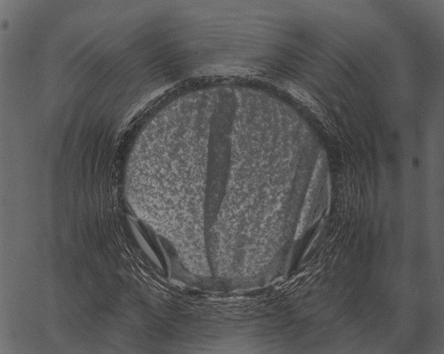 X0000062630872200601111057