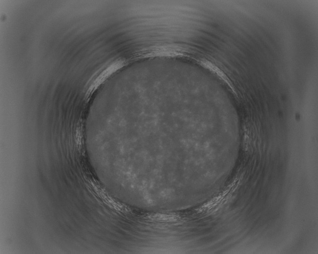 X0000062630874200601111057