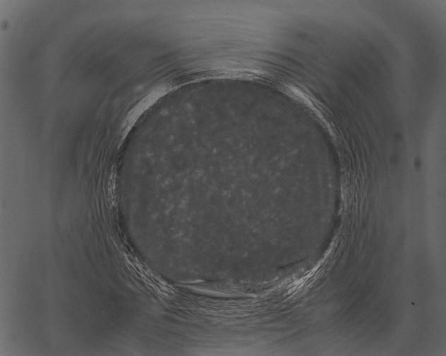 X0000062630875200601111057