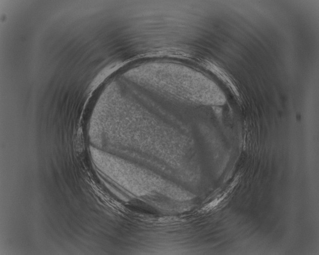 X0000062630876200601111057