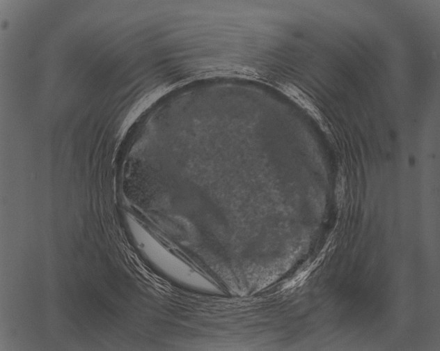 X0000062630877200601111057