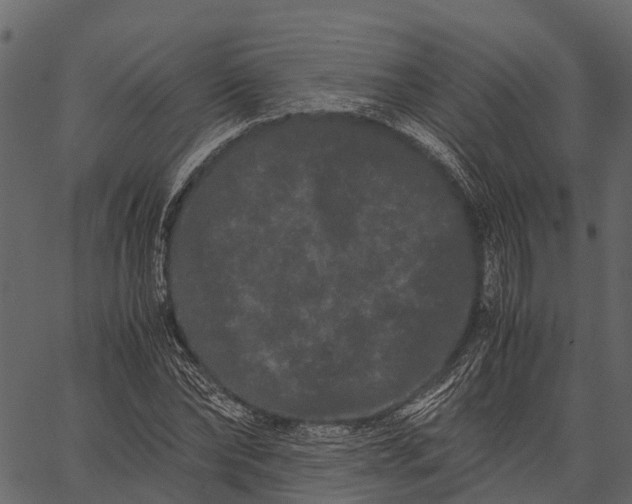 X0000062630878200601111057