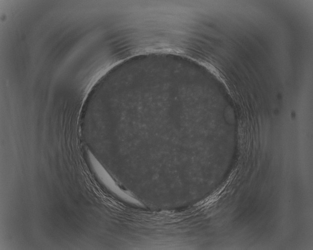 X0000062630879200601111057