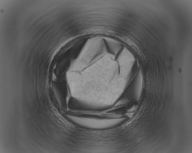 X0000062630880200601111057