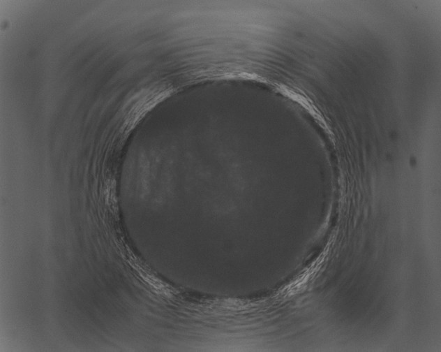 X0000062630881200601111057