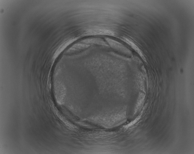 X0000062630885200601111057