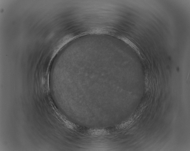 X0000062630886200601111057