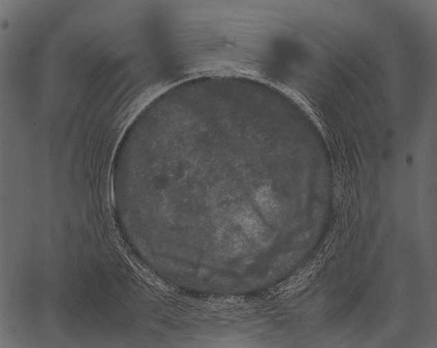 X0000062630887200601111057