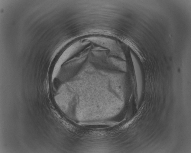 X0000062630888200601111057