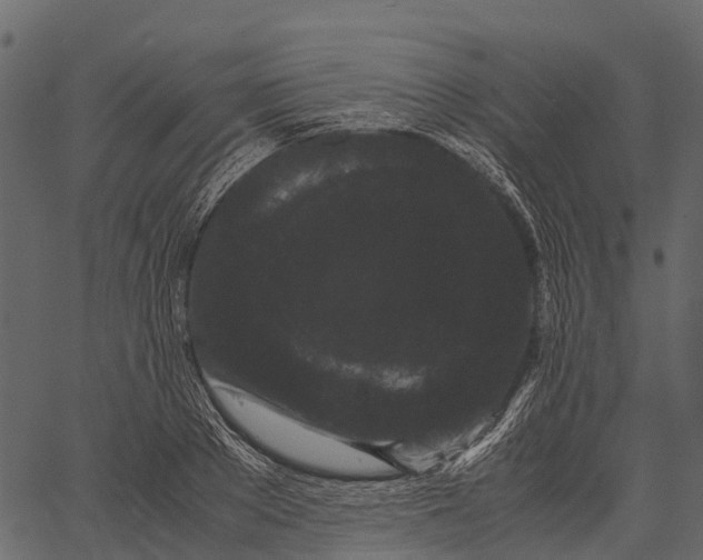 X0000062630889200601111057