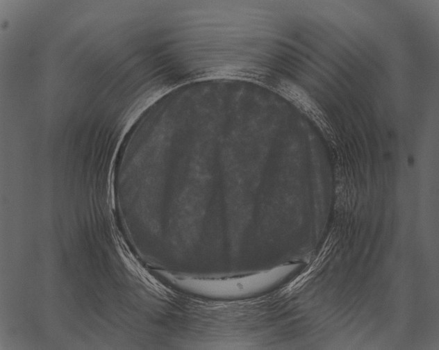 X0000062630892200601111057