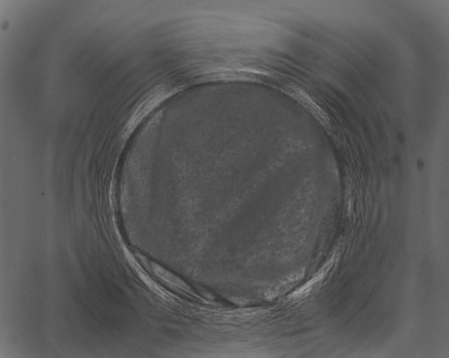 X0000062630893200601111057