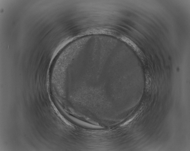 X0000062630894200601111057