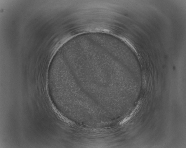 X0000062630895200601111057