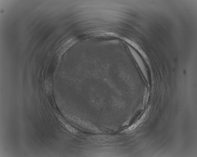 X0000062630897200601111057