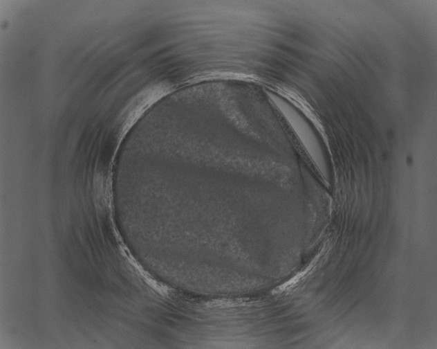 X0000062630898200601111057