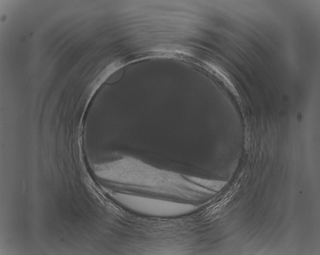 X0000062630899200601111057