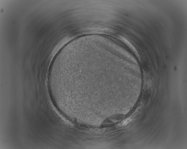 X0000062630901200601111057