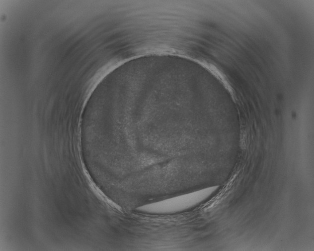 X0000062630903200601111057