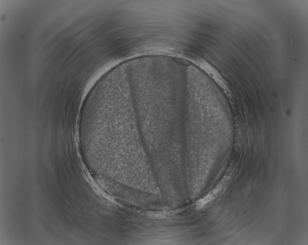 X0000062630904200601111057