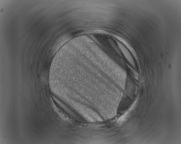 X0000062630905200601111057