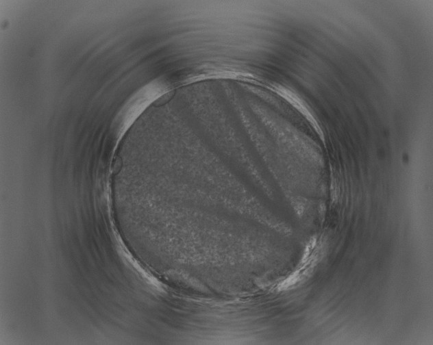 X0000062630906200601111057