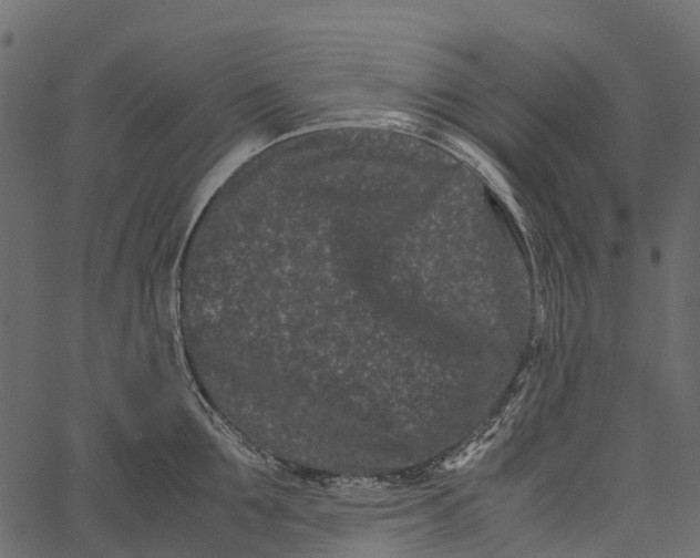 X0000062630907200601111057