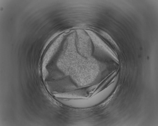 X0000062630908200601111057