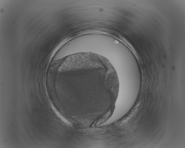 X0000062630909200601111057