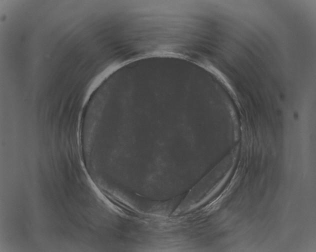 X0000062630910200601111057