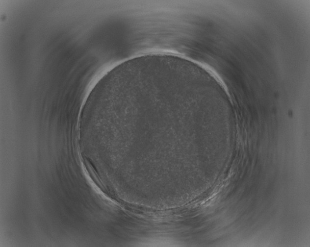 X0000062630911200601111057