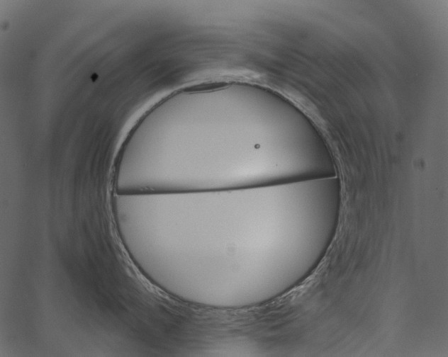 X0000062630912200601111057