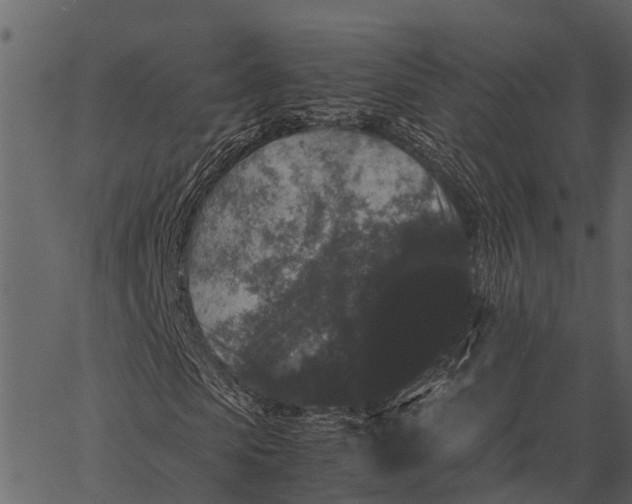 X0000062630913200601111056