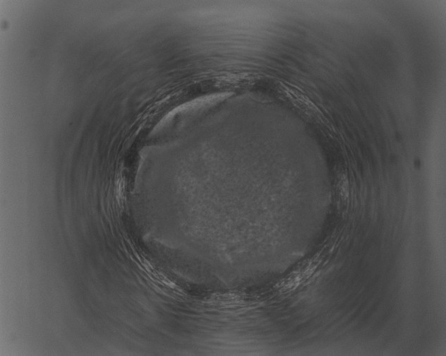 X0000062630914200601111056