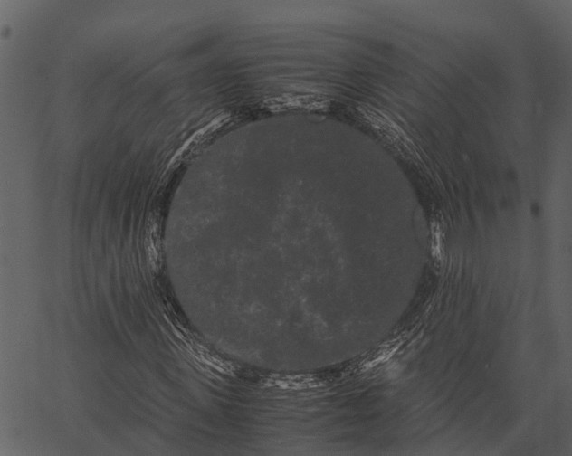 X0000062630915200601111056