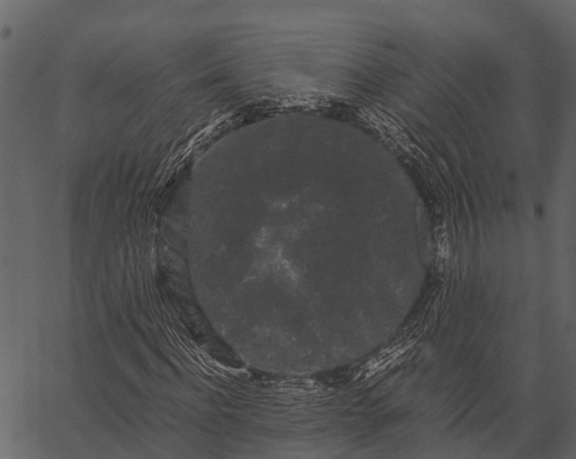 X0000062630916200601111056