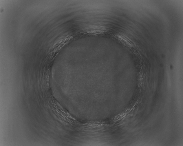 X0000062630917200601111056