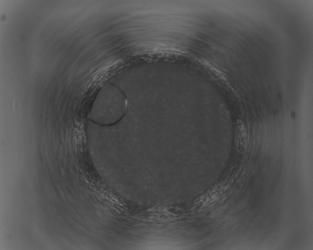 X0000062630918200601111056