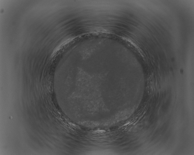 X0000062630919200601111056