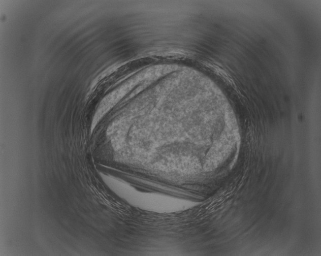 X0000062630920200601111056