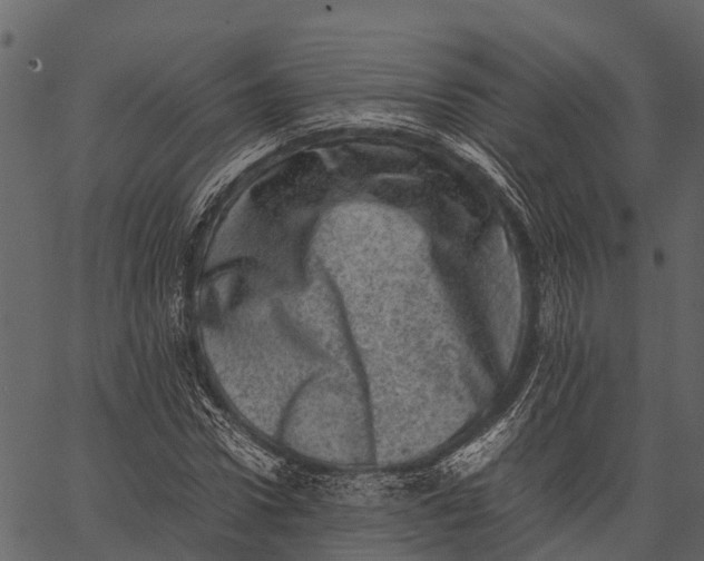 X0000062630922200601111056