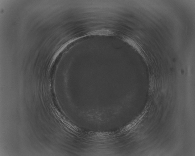 X0000062630923200601111056