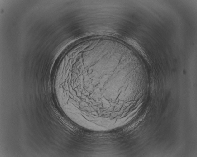 X0000062630924200601111056