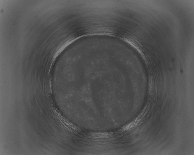 X0000062630925200601111056